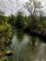 Spenceville Wildlife Area