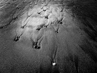 Black and White Magazine Smartphone Competition Award Winners